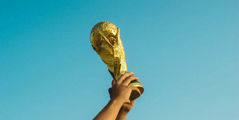 HOW EVOLINK.CDN SEES THE FOOTBALL WORLD CUP Image