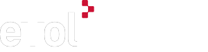 Evolink logo
